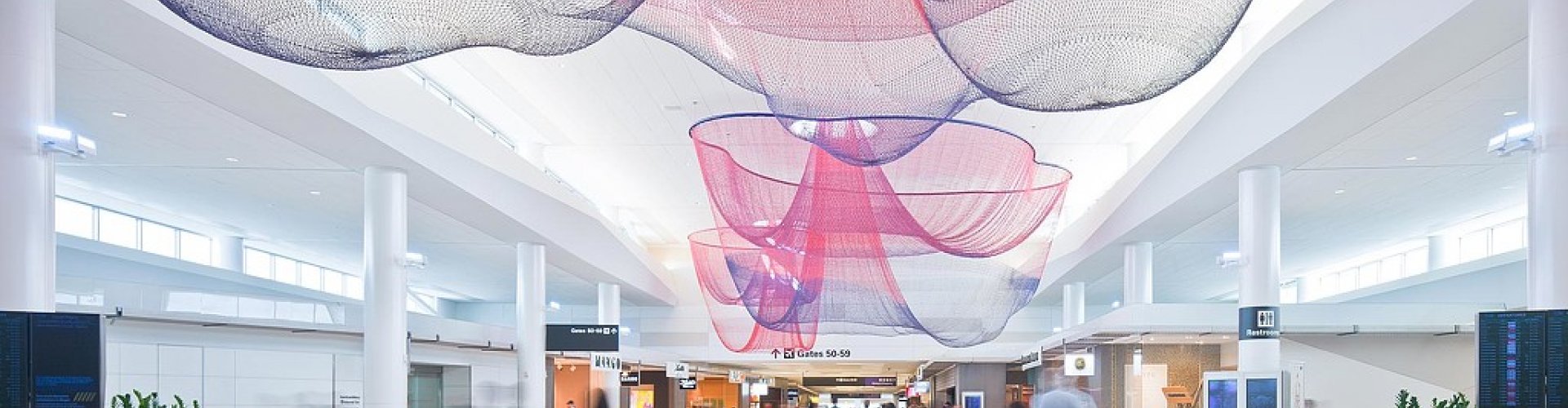 San Francisco scenic road trip